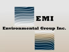 Emi Group Inc 32